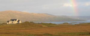 Shetland Scene